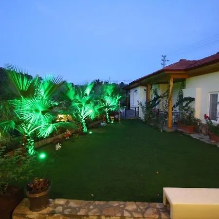 Three Palms