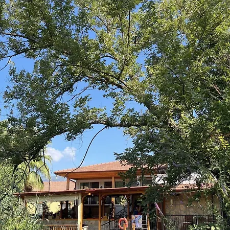 Apartament Three Palms