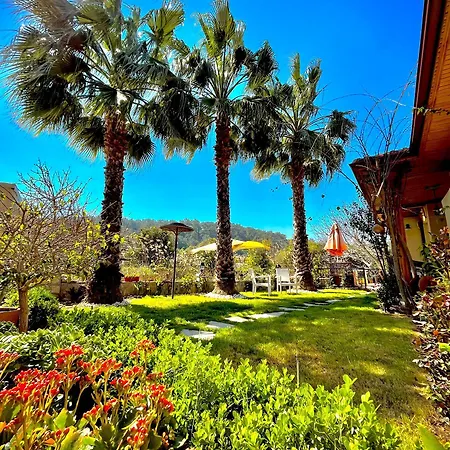 Three Palms * Akyaka (Mugla)