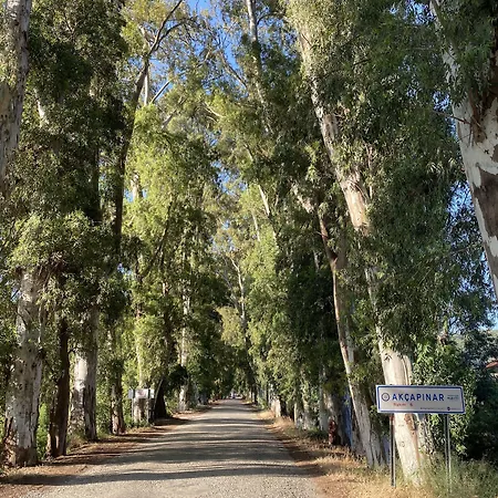 Apartament Three Palms Akyaka (Mugla)