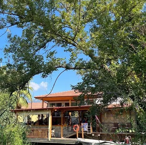 Lejlighed Three Palms *