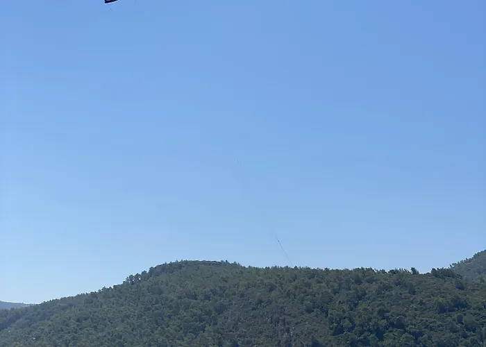 Three Palms Lejlighed *