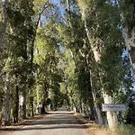 Appartamento Three Palms Akyaka (Mugla)
