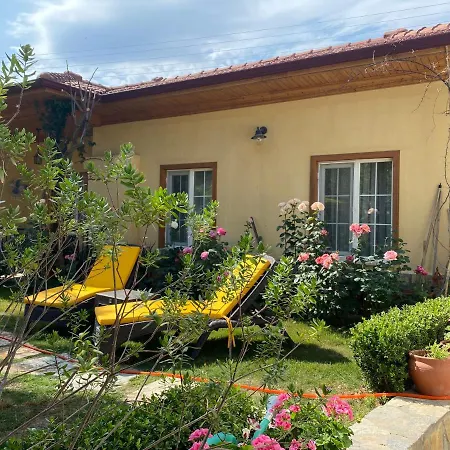 Three Palms * אקיאקה