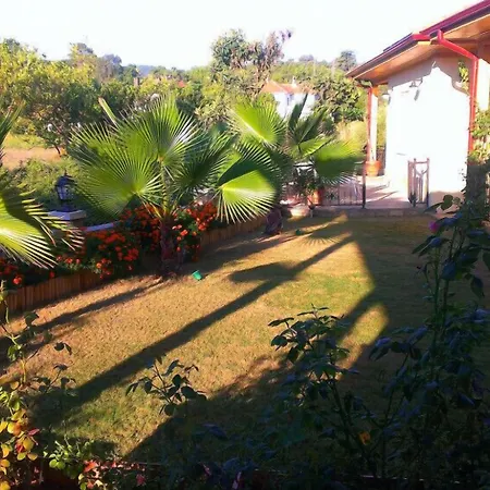 Three Palms אקיאקה