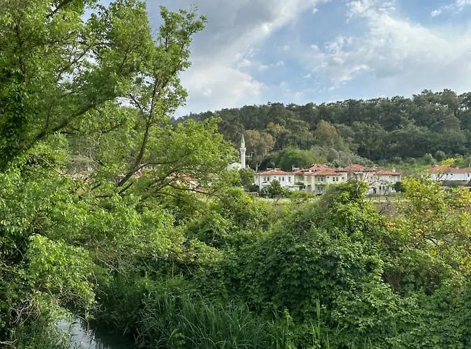 Three Palms * אקיאקה