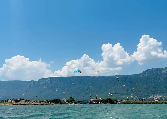 Three Palms * אקיאקה