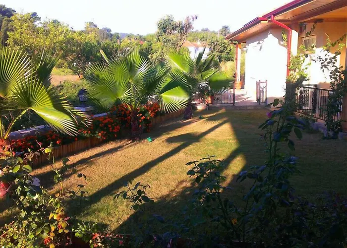 Three Palms אקיאקה