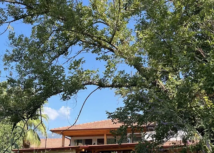 דירה Three Palms