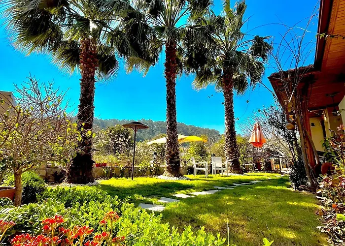 Three Palms * אקיאקה