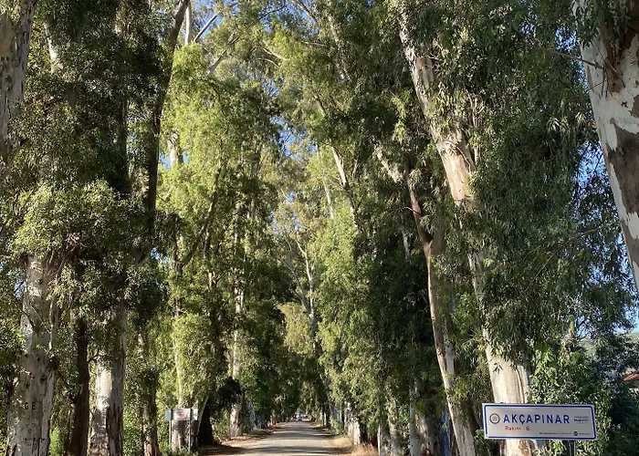 דירה Three Palms אקיאקה