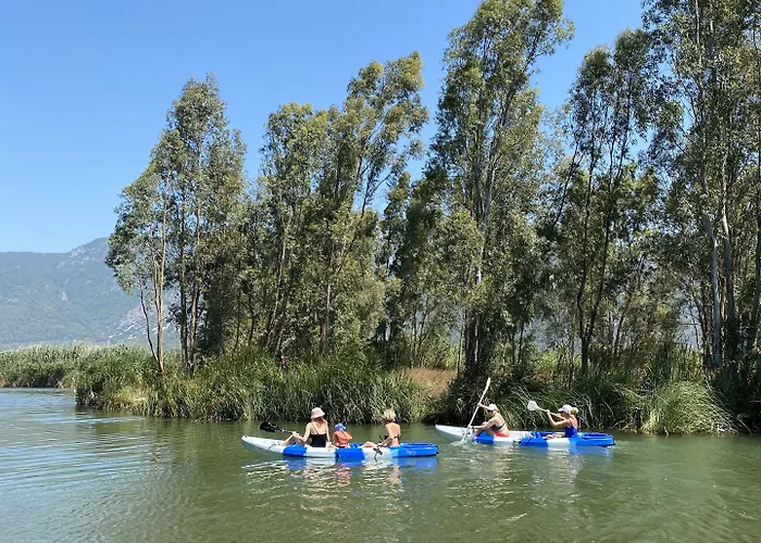 דירה Three Palms אקיאקה