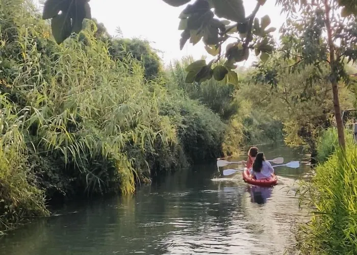 Three Palms דירה אקיאקה